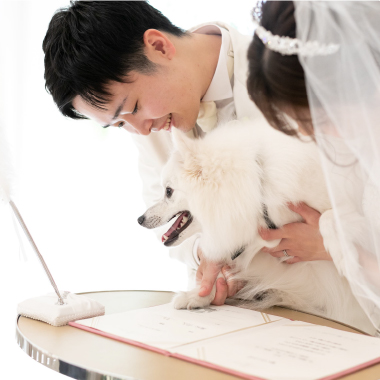 ギャラリーの画像