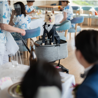 ギャラリーの画像