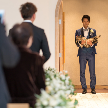 ギャラリーの画像