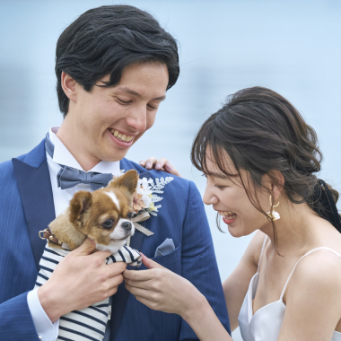 ギャラリーの画像