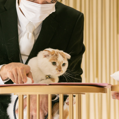 ギャラリーの画像