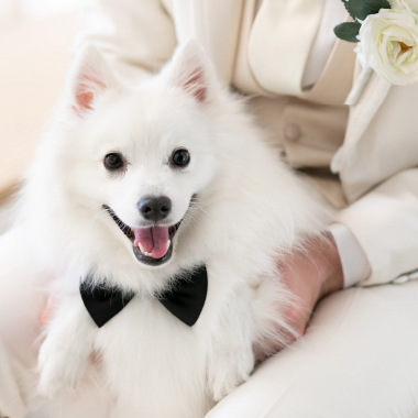 ギャラリーの画像