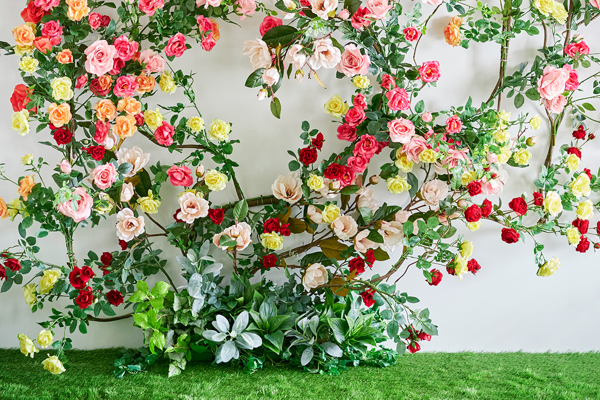 小さな結婚式 札幌スタジオ