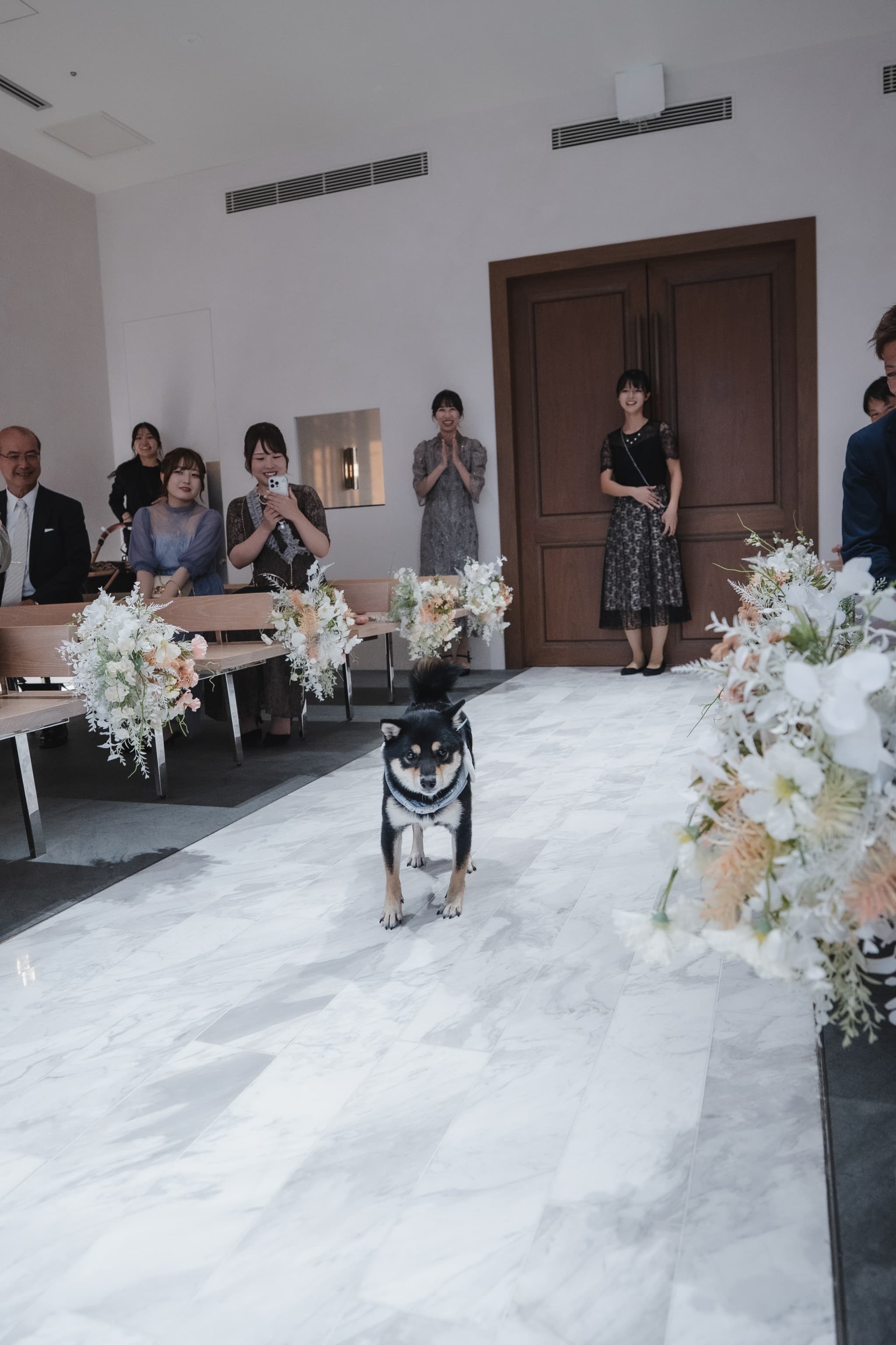 大切なご家族わんちゃんと一緒に誓える幸せWEDDING♪