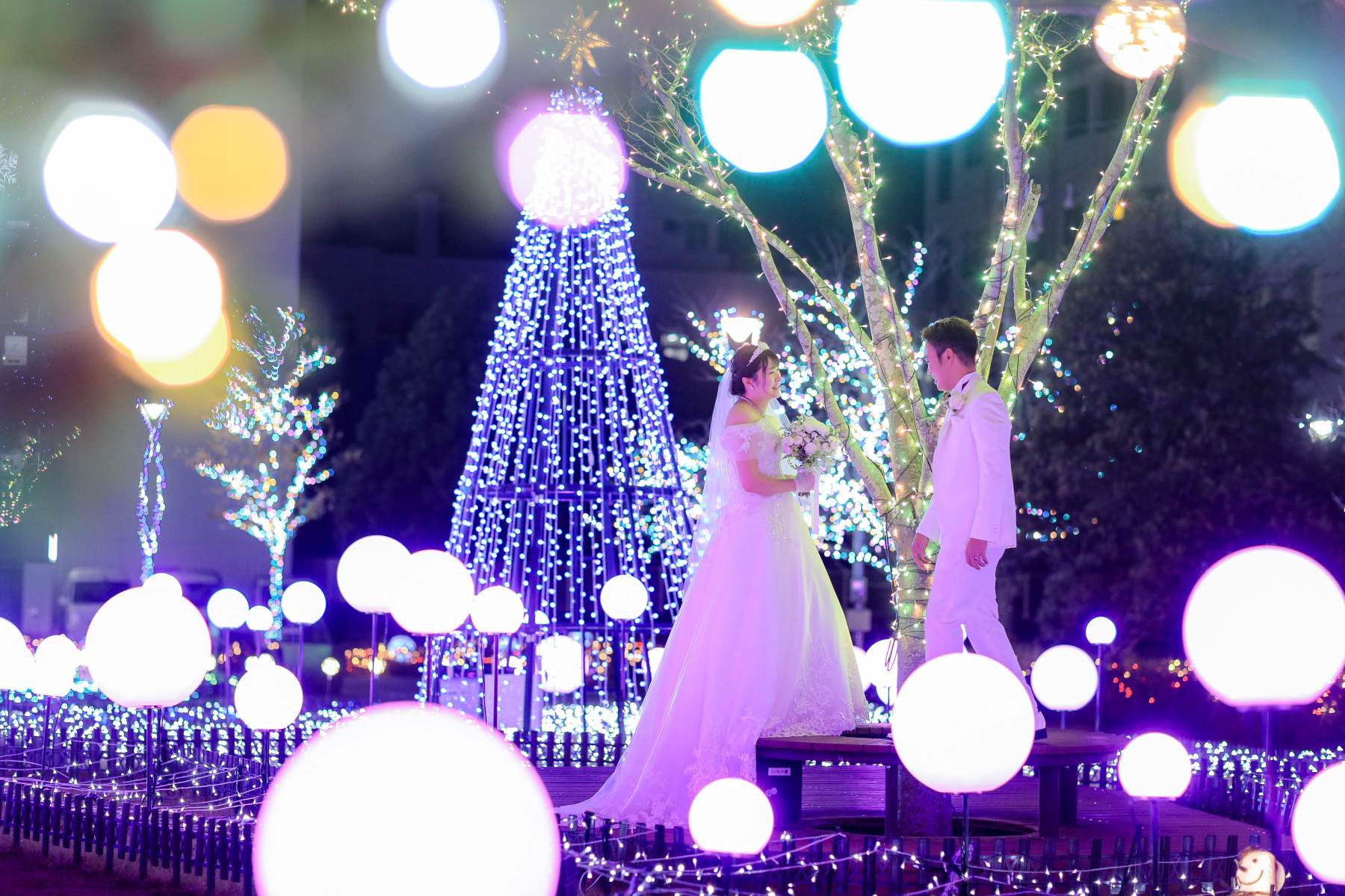 宮崎県でイルミネーション撮影🎄✨