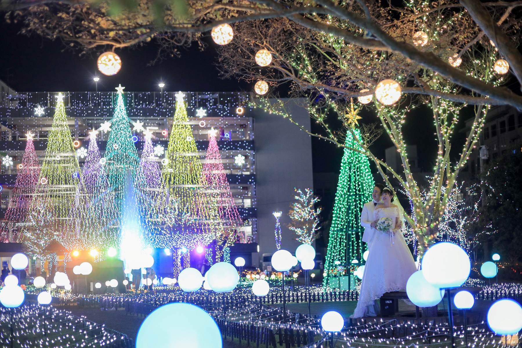 宮崎県でイルミネーション撮影🎄✨