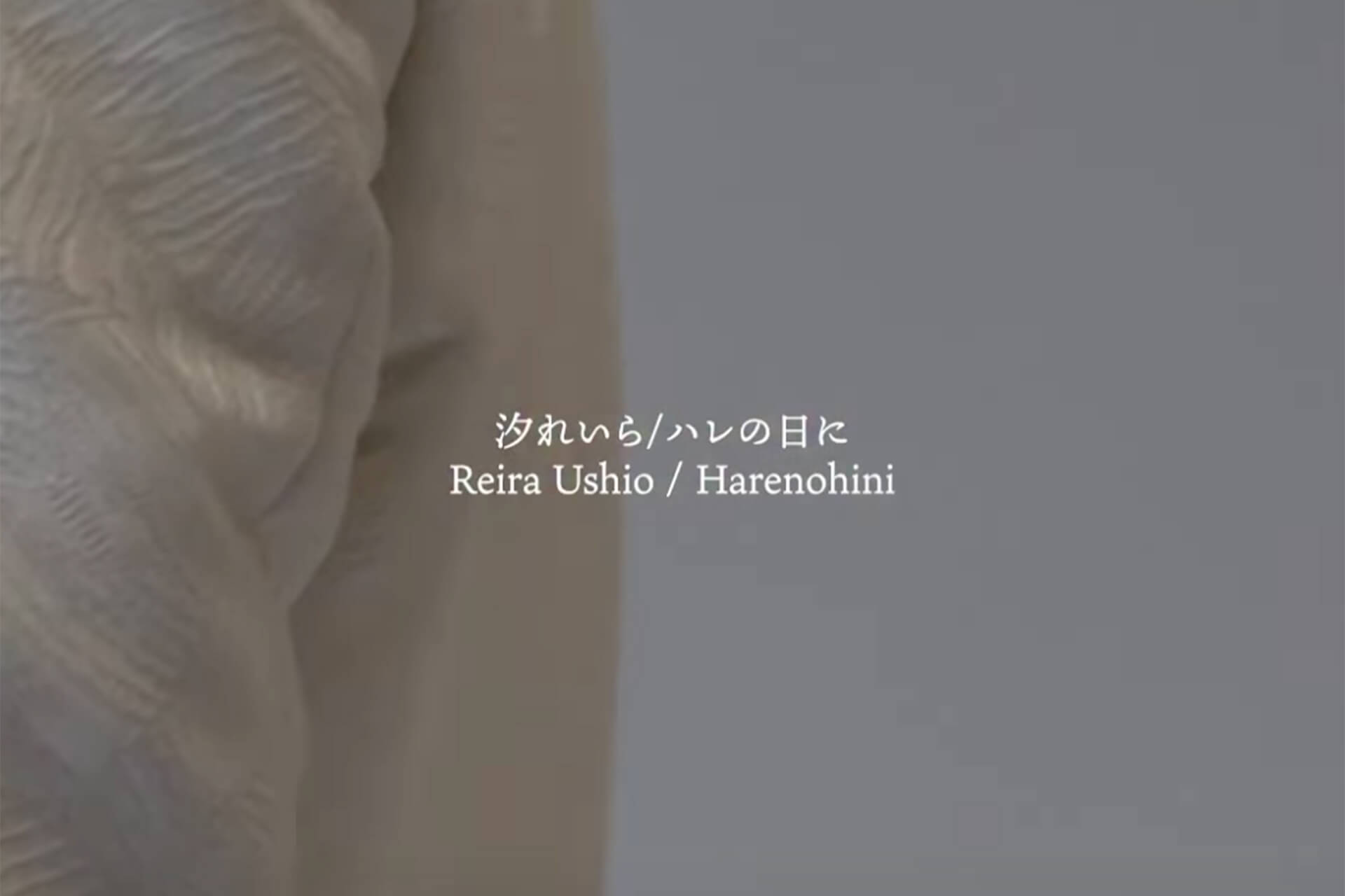 小さな結婚式 お台場店の結婚式が、シンガーソングライター 汐れいらさんの「ハレの日に」のSNSプロモーションビデオに使用