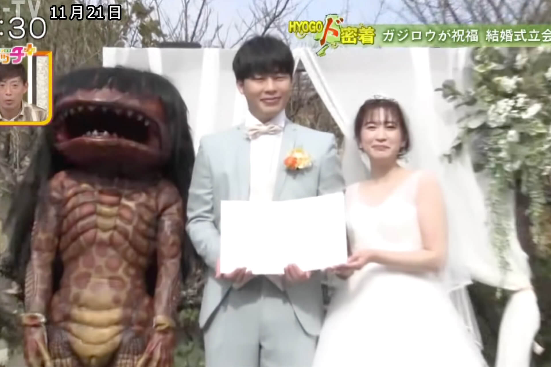 NIPPONIA 播磨福崎 蔵書の館でのガジロウ結婚式が、サンテレビのニュース番組で紹介されました。