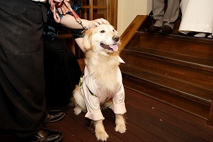 レストランパリンカ