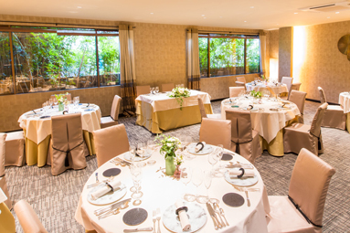 REIMS YANAGIDATE（ランス　ヤナギダテ）