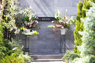 REIMS YANAGIDATE（ランス　ヤナギダテ）