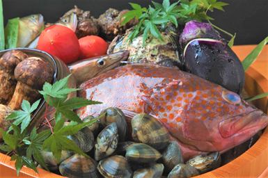 日本料理 きく井