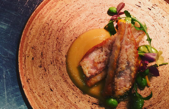 シェ ヨシ しあわせ創庫 のフォトギャラリー 公式 小さな結婚式