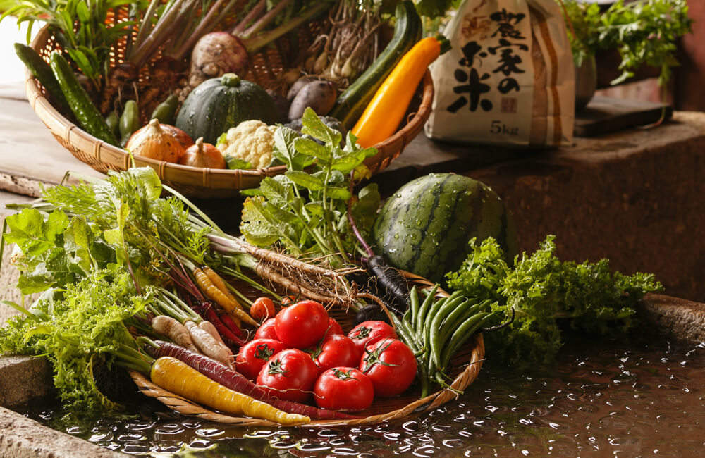 NIPPONIA（ニッポニア）播磨福崎古民家