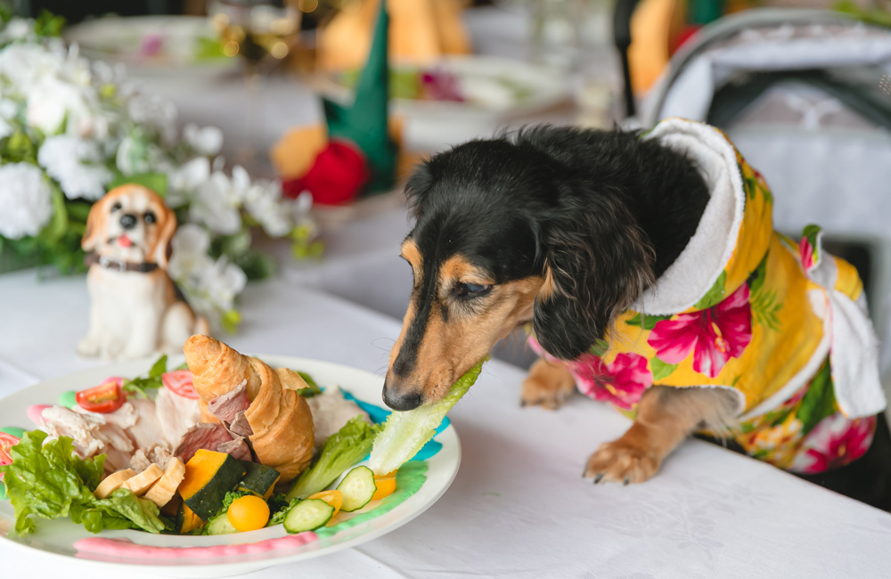 箱根強羅グアムドッグ本店