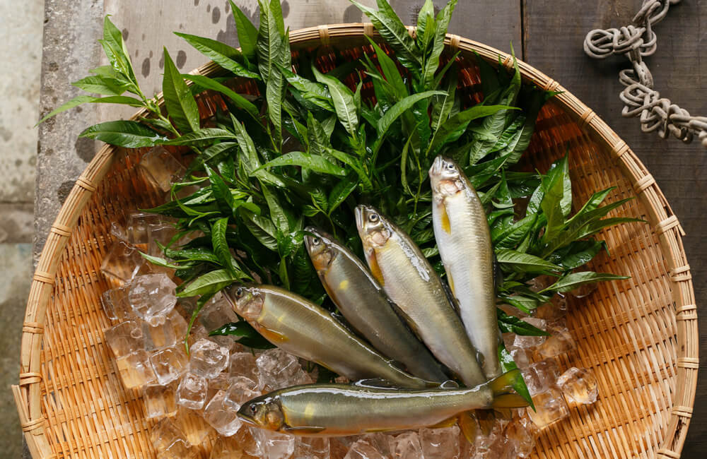 NIPPONIA（ニッポニア）播磨福崎古民家