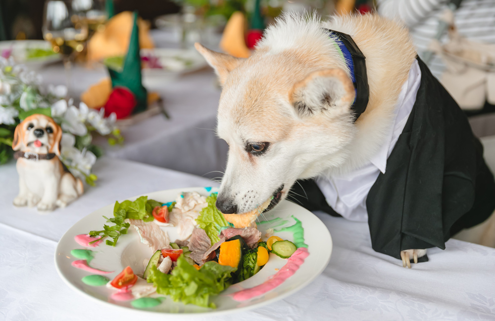 箱根強羅グアムドッグ本店