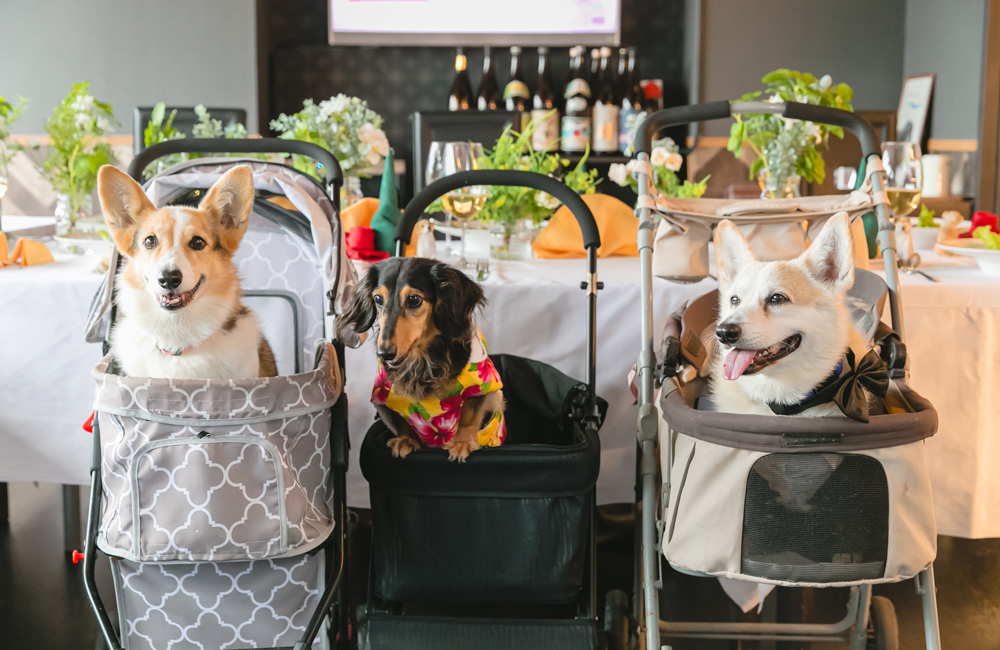 箱根強羅グアムドッグ本店