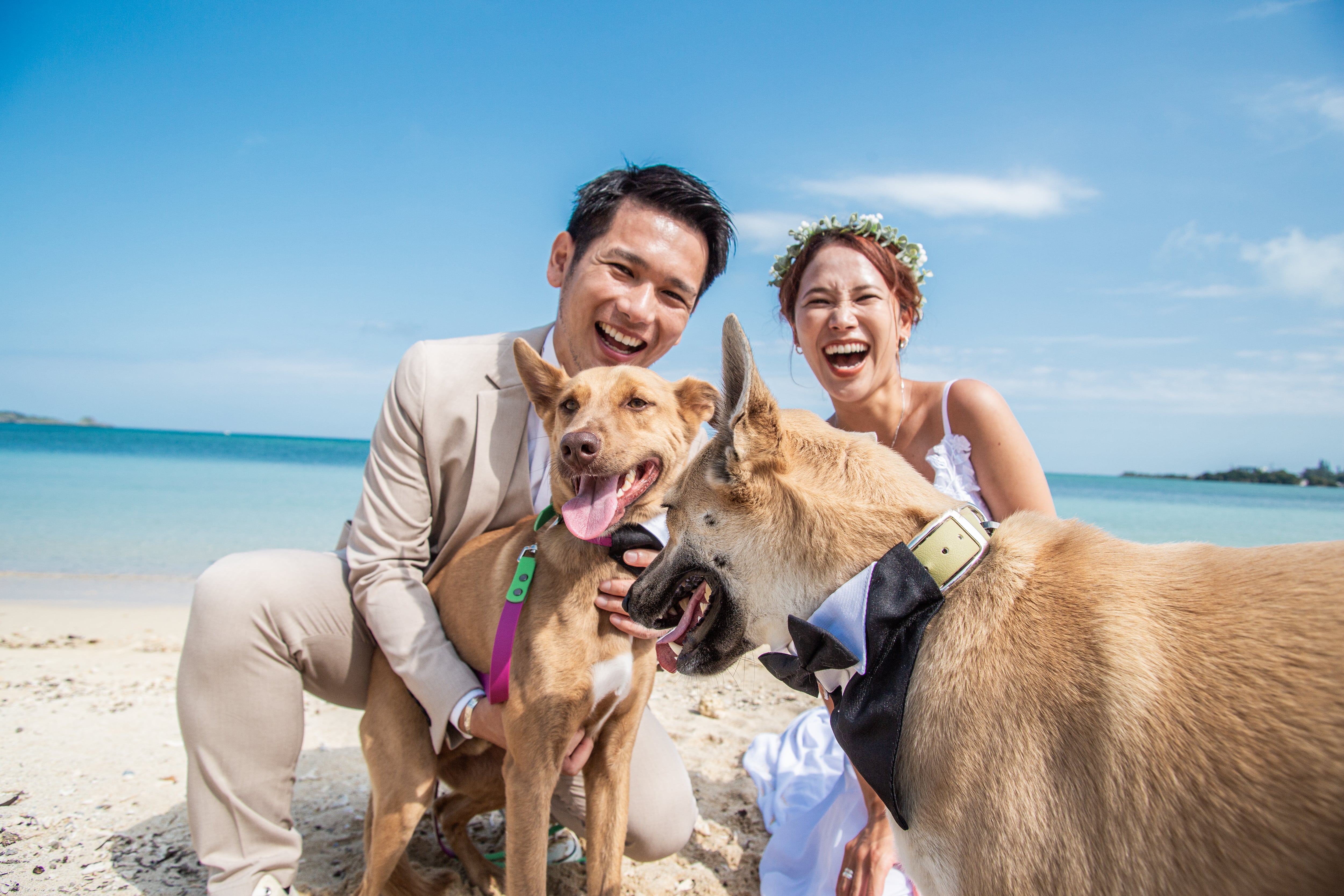 【毎週火曜日開催】大切なペットは家族の一員♡ペットと一緒に結婚式が叶う