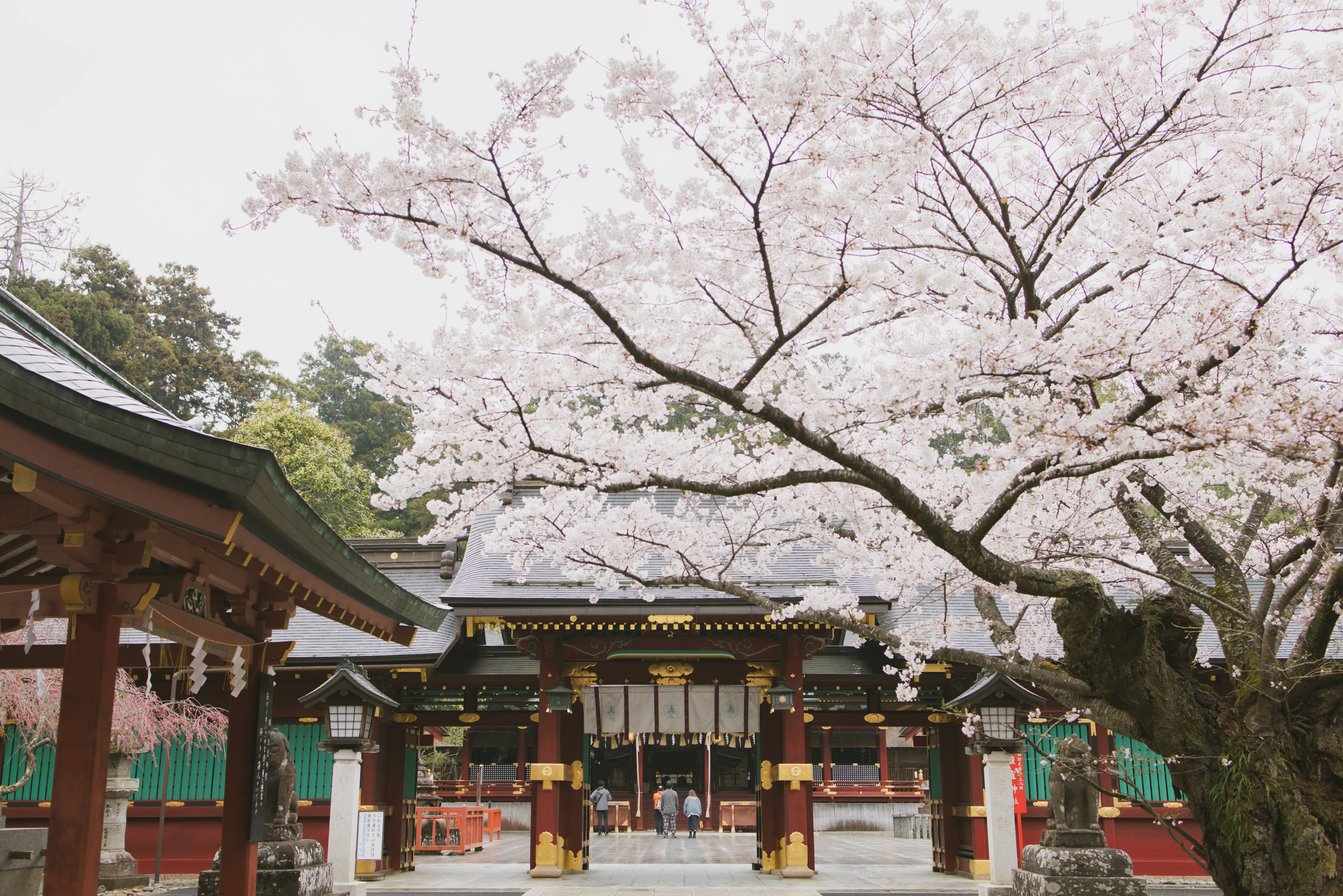 《しおがま》さまで叶える神社式