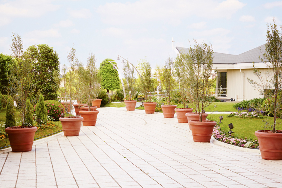 ロイヤルパインズホテル浦和スタジオ
