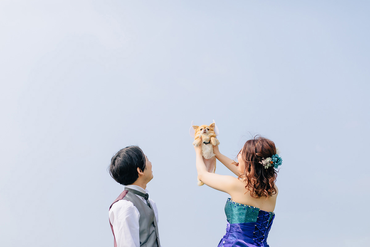 小さな結婚式 新潟スタジオ