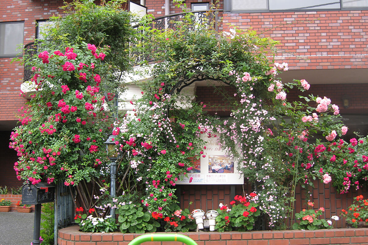 レストラン マーヴェラス パラディ白金