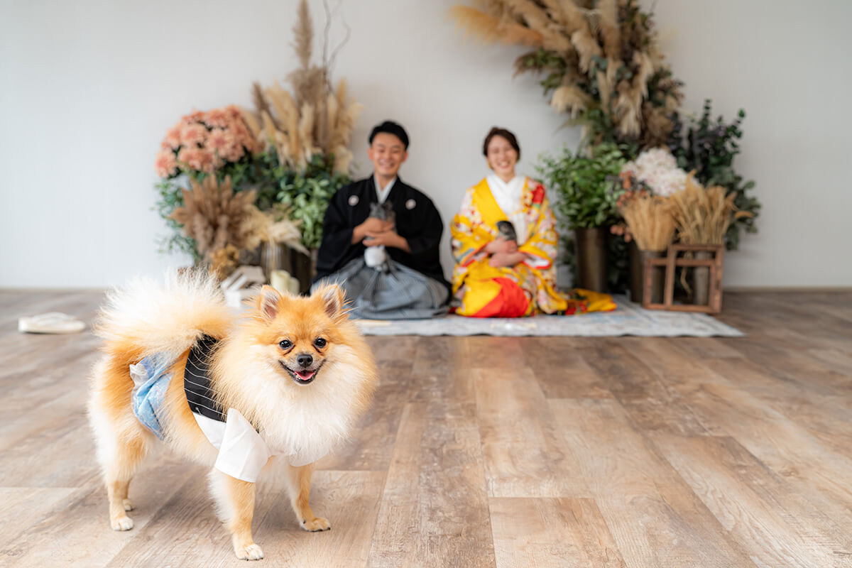 小さな結婚式 神戸モザイクスタジオ