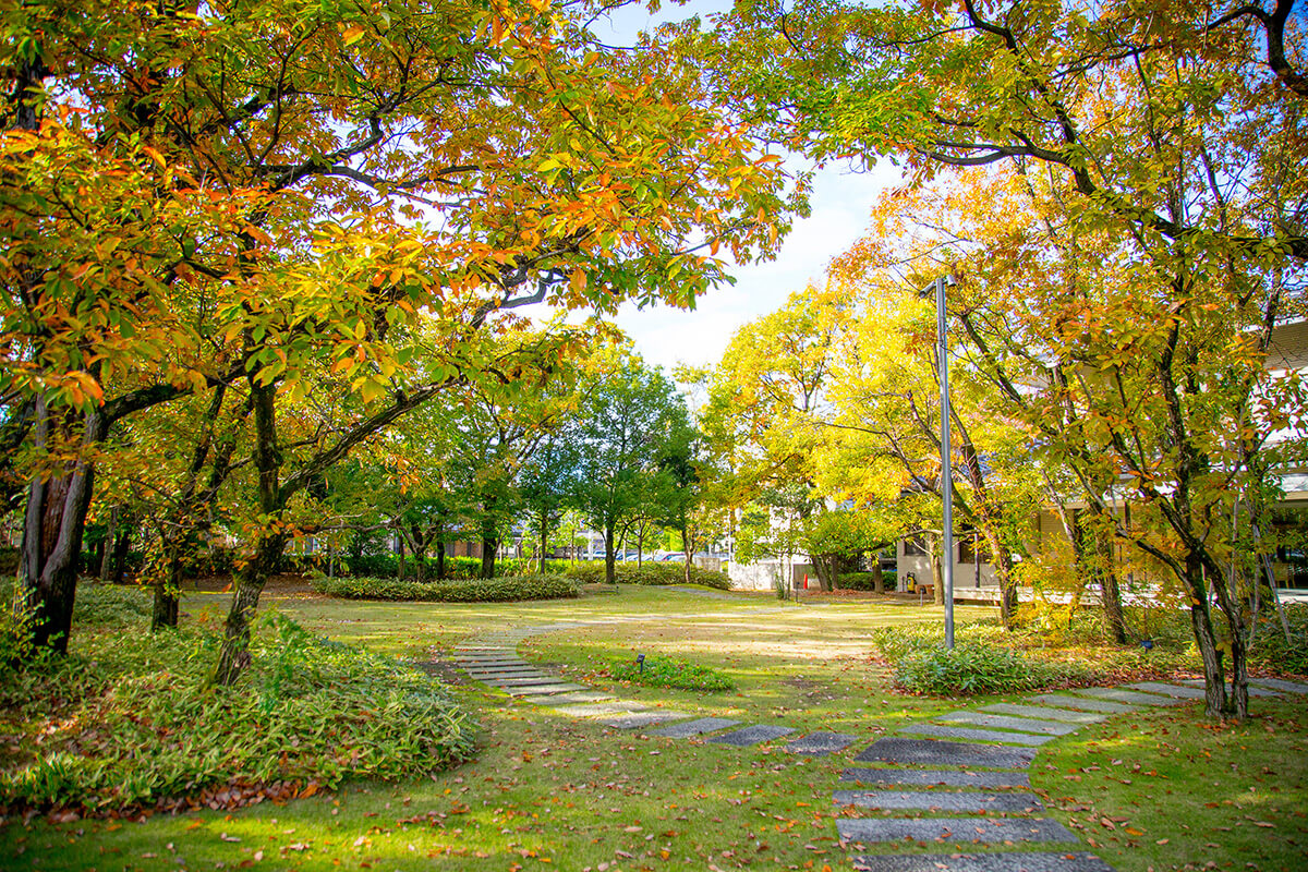シェ・ヨシ（しあわせ創庫）