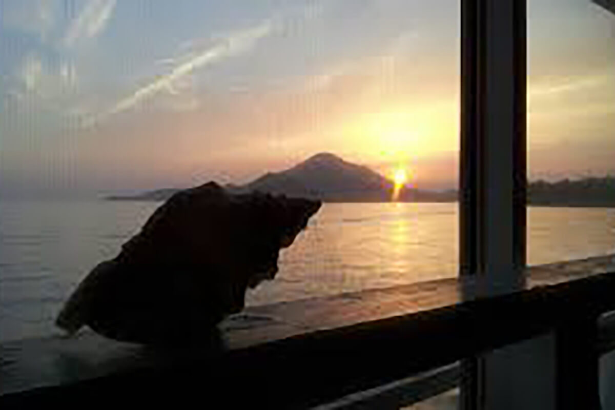 Buena Vista（ブエナビスタ）