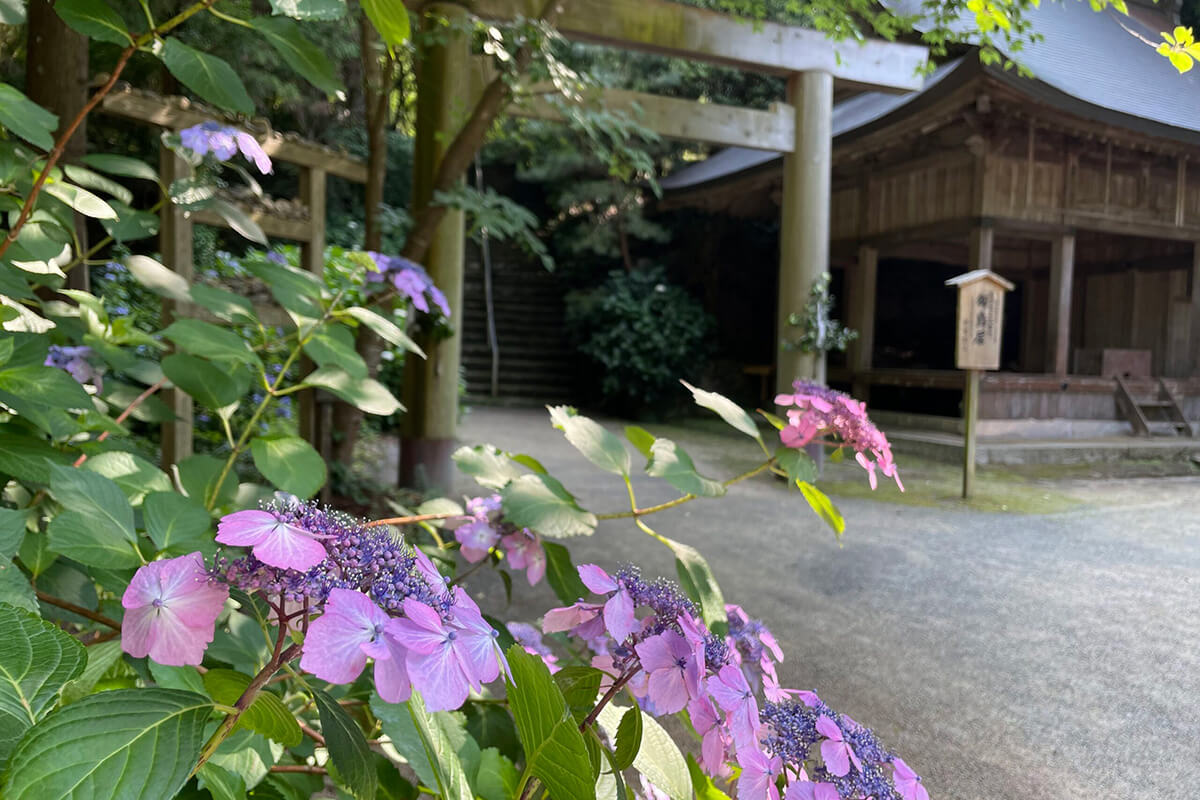 櫻井神社