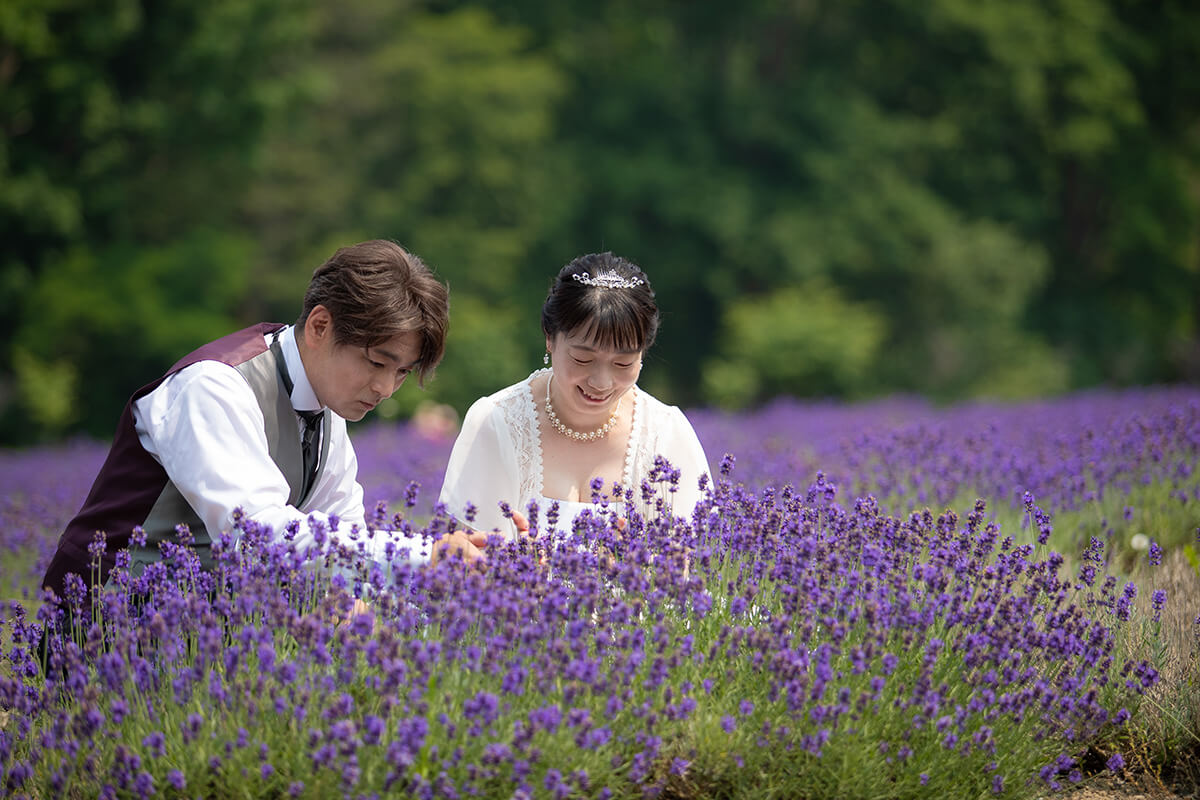 ハイランドふらの