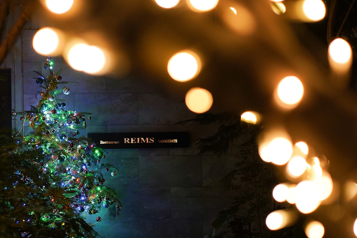 ランス・ヤナギダテ