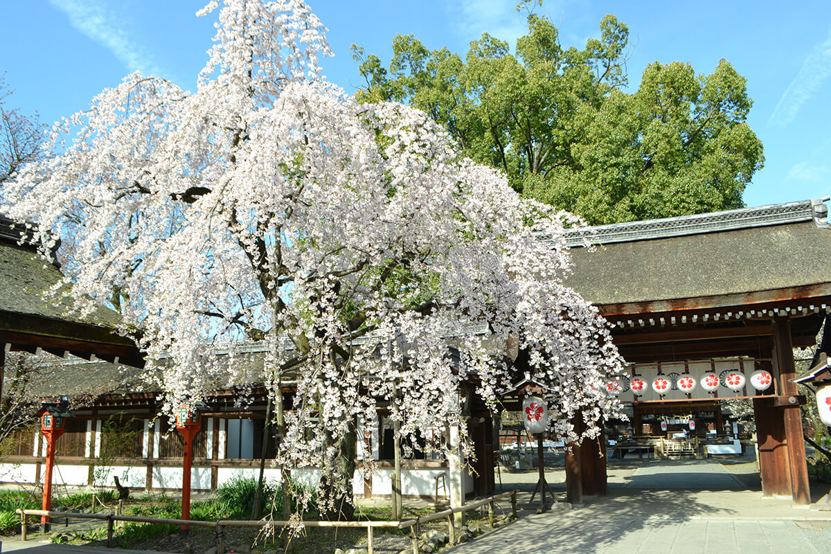 平野神社