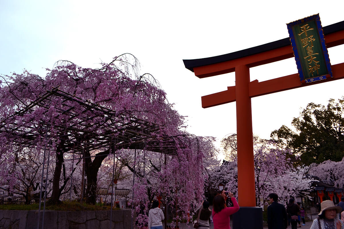 平野神社