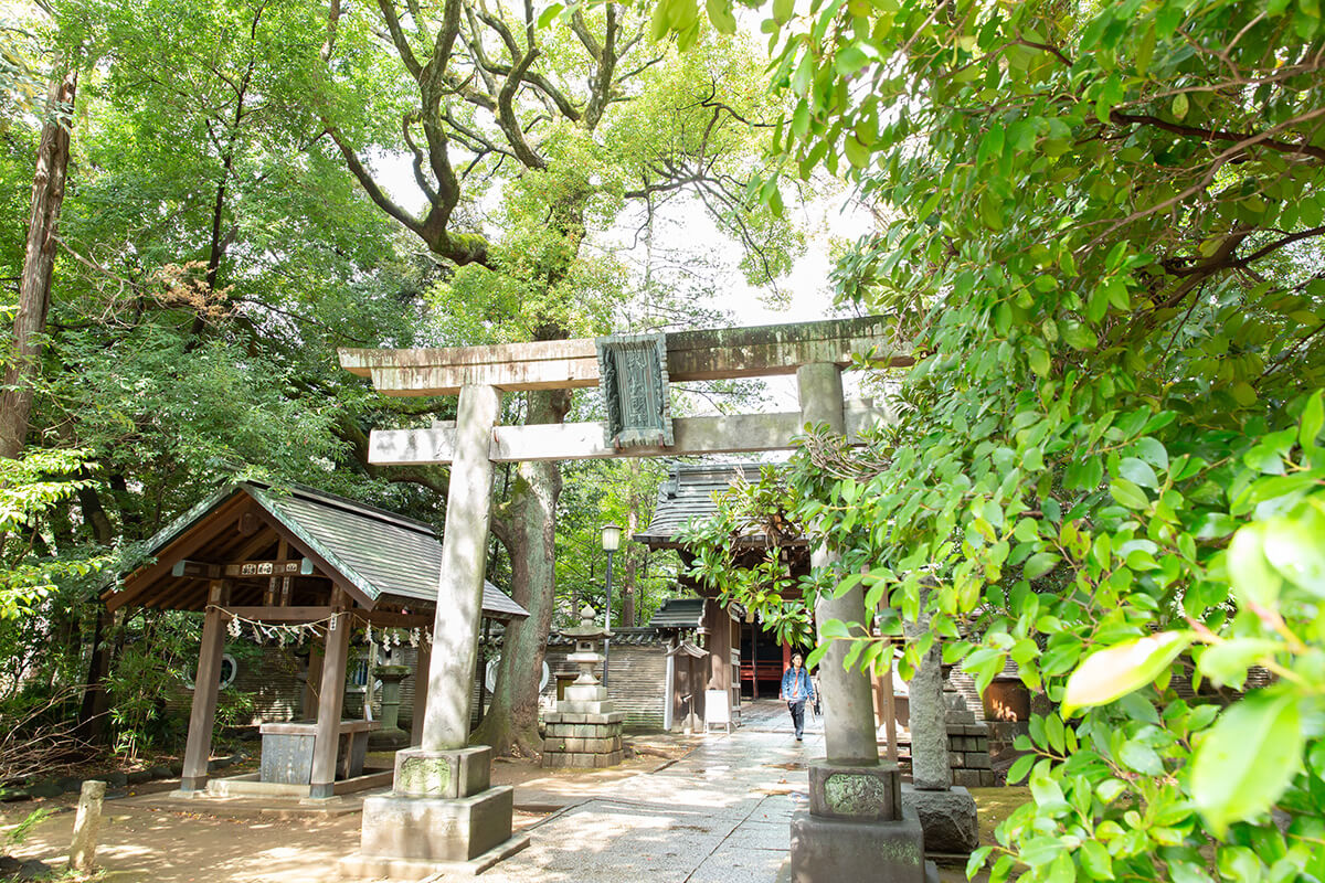 赤坂氷川神社