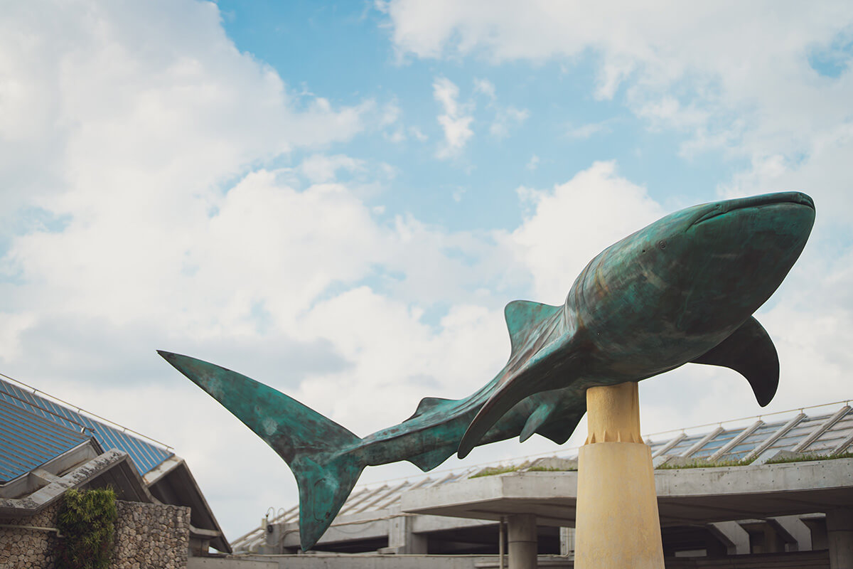 沖縄美ら海ウェディング