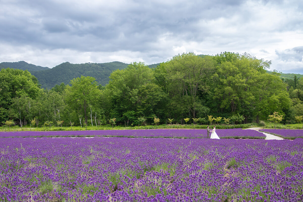ハイランドふらの