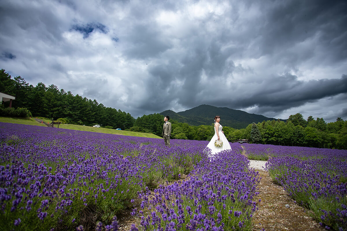 ハイランドふらの