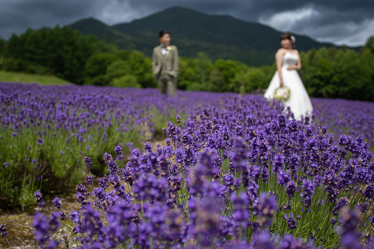 ハイランドふらの