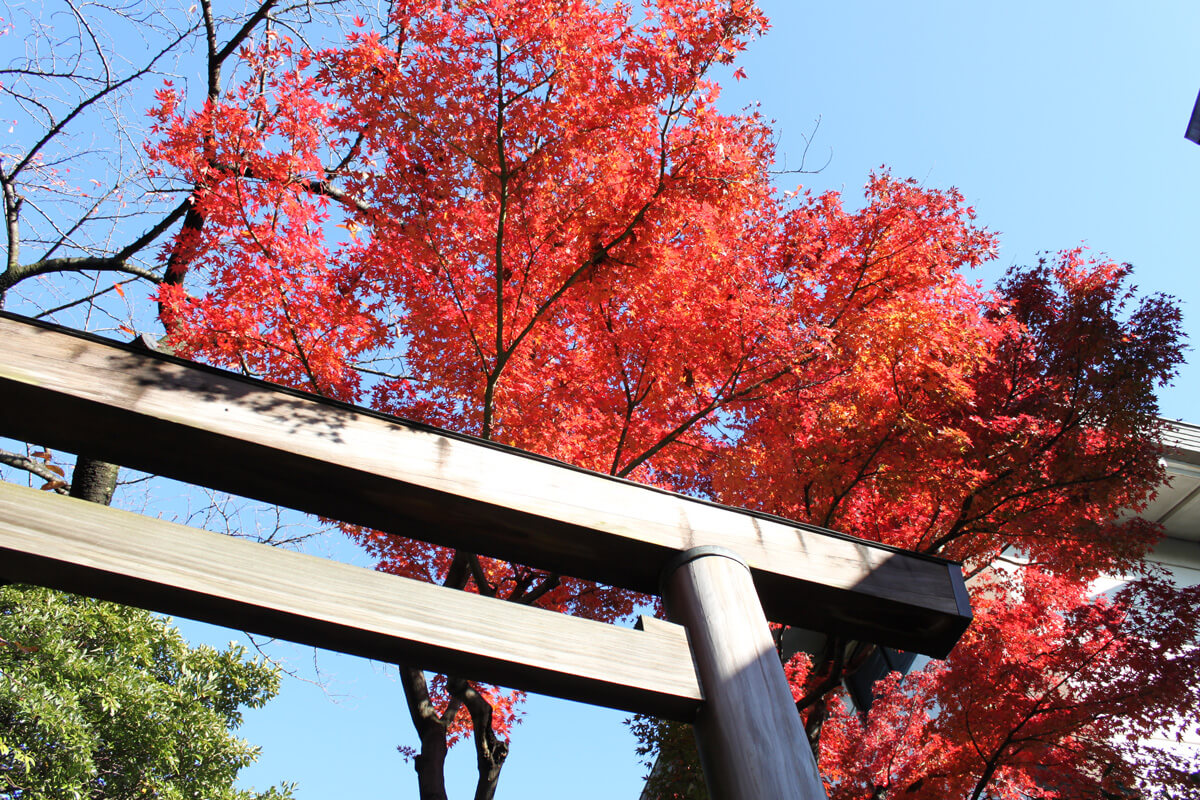 伊勢山皇大神宮