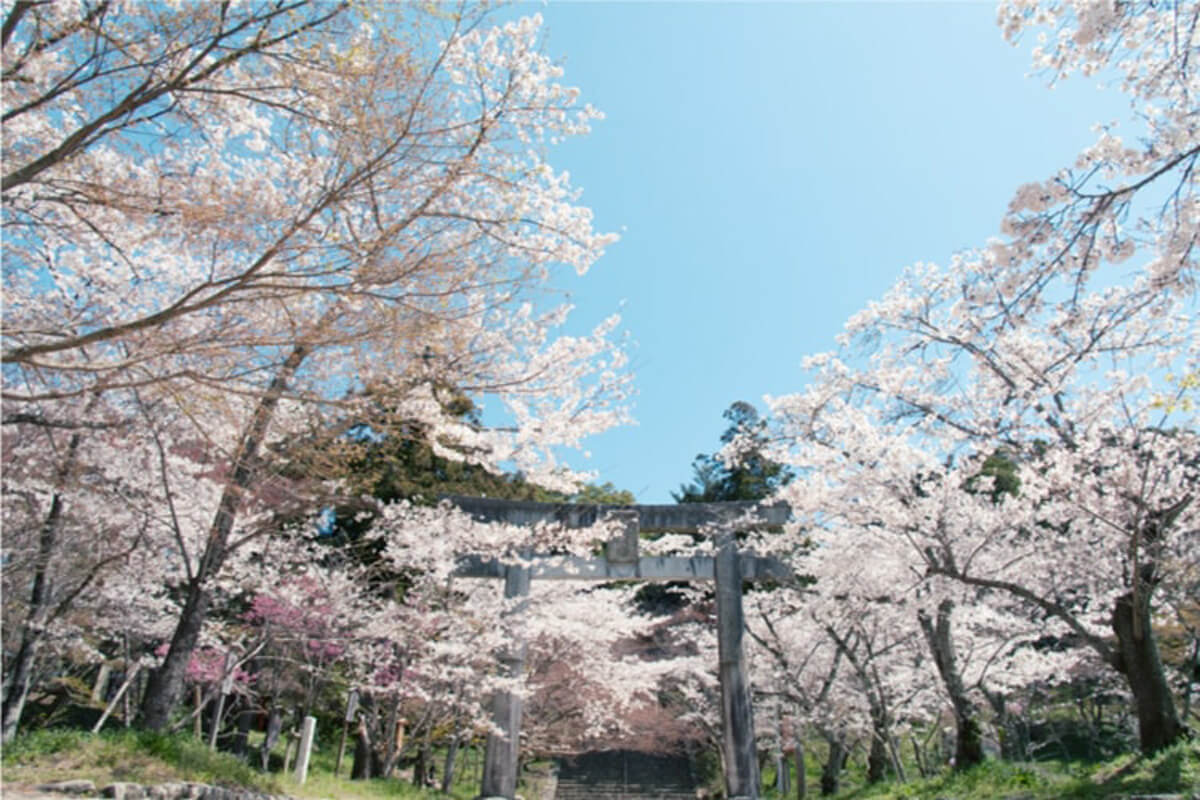 宝満宮 竈門神社
