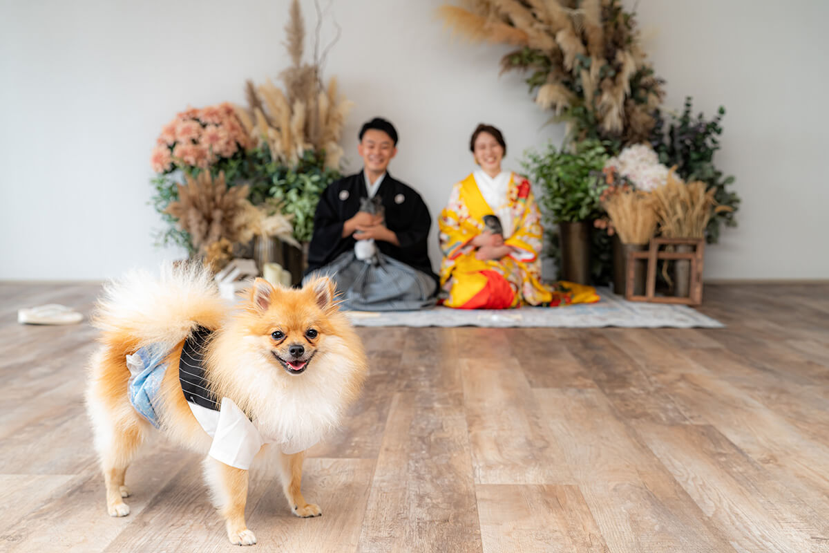 小さな結婚式 神戸モザイクチャペル