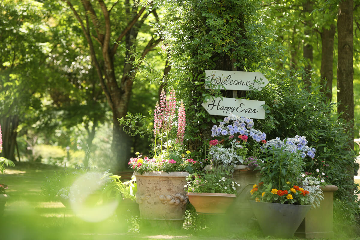 プリムローズガーデン