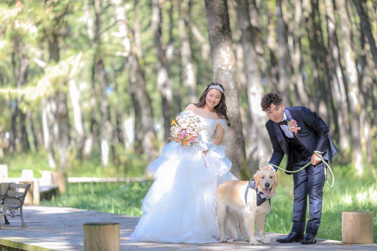 小さな結婚式 宮崎スタジオ