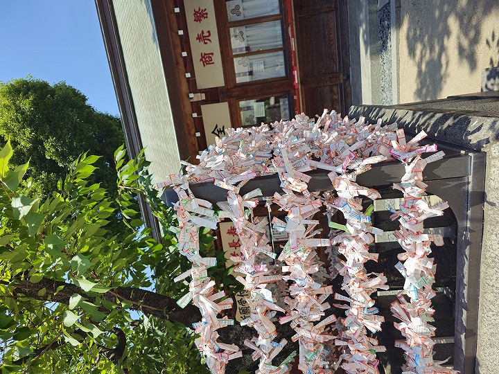 小さな結婚式福岡店　櫛田神社で神前式⛩