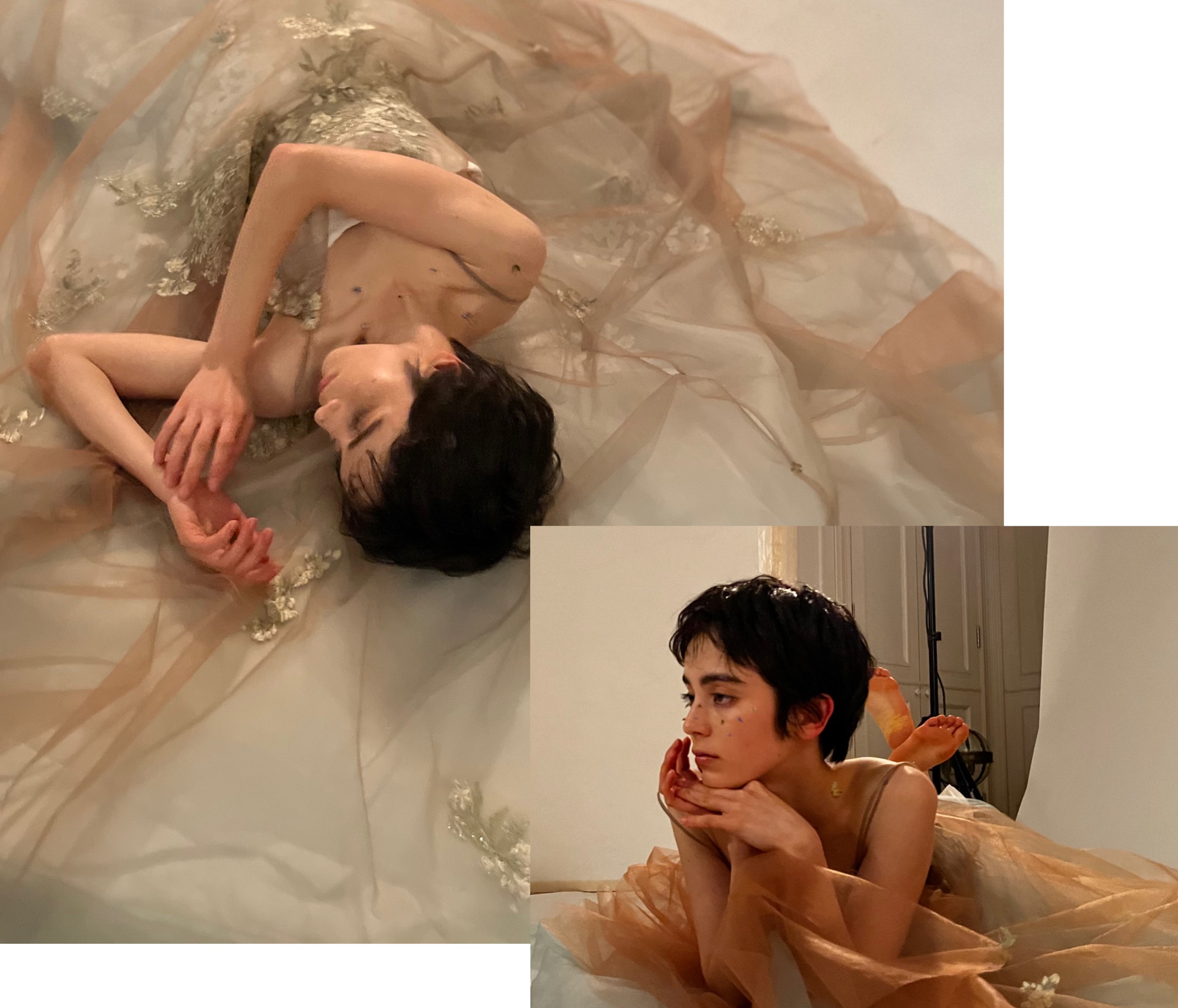 ラヴィ・ピュール