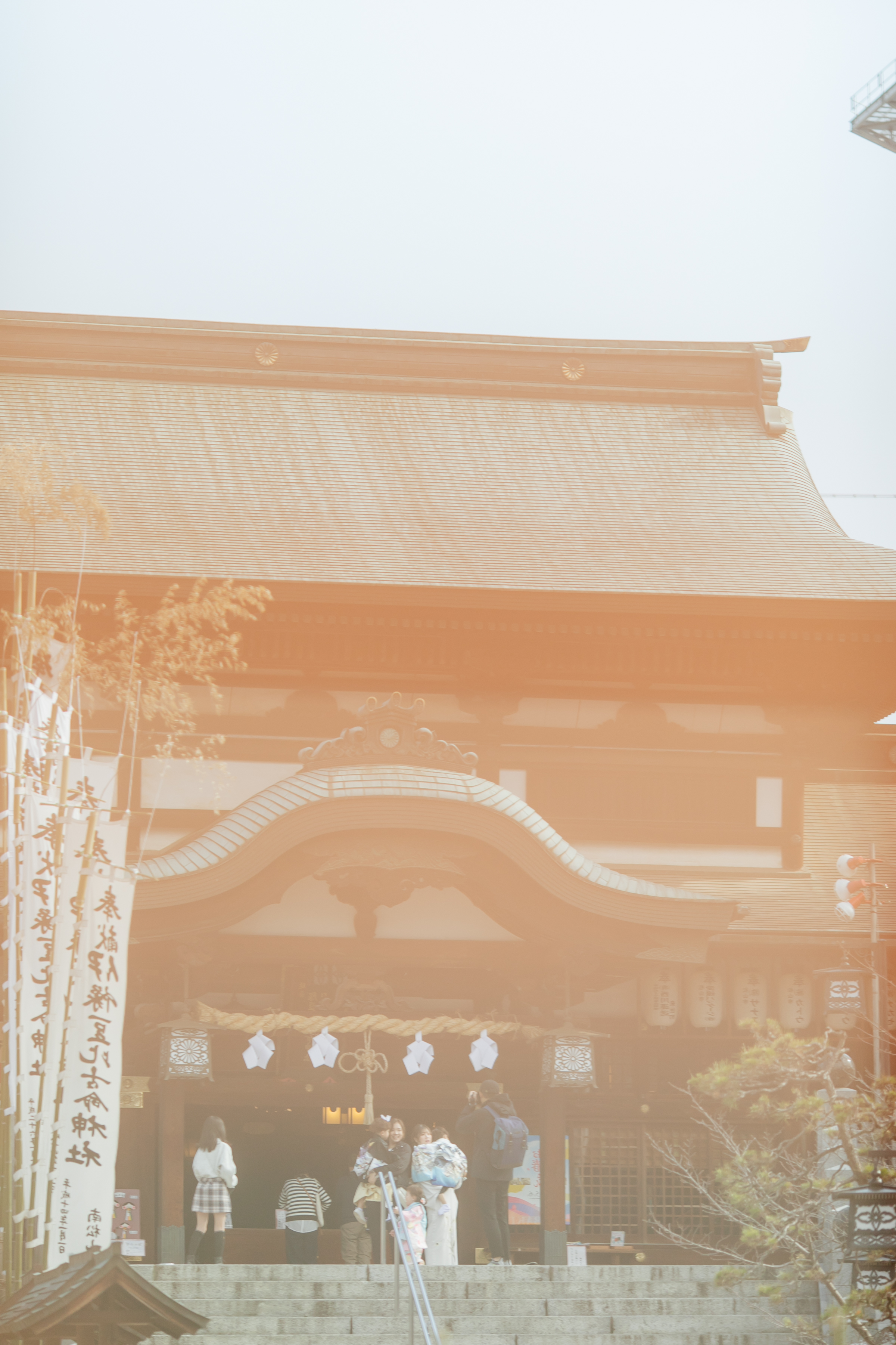 神前式～伊豫豆比古命神社 -椿神社①- ～