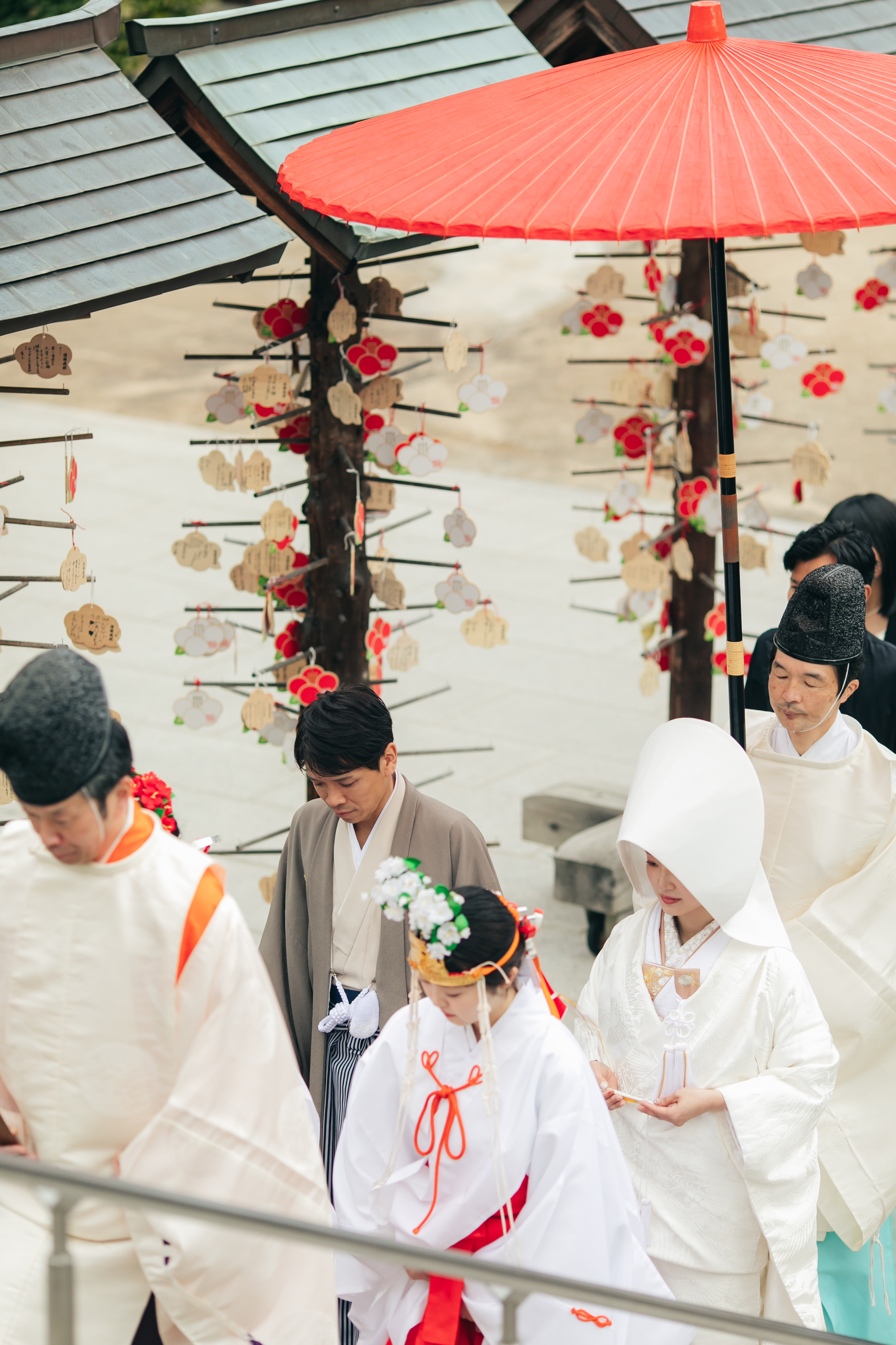神前式～伊豫豆比古命神社 -椿神社②- ～