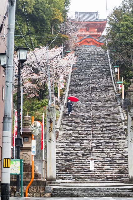 道後での結婚式⛩
